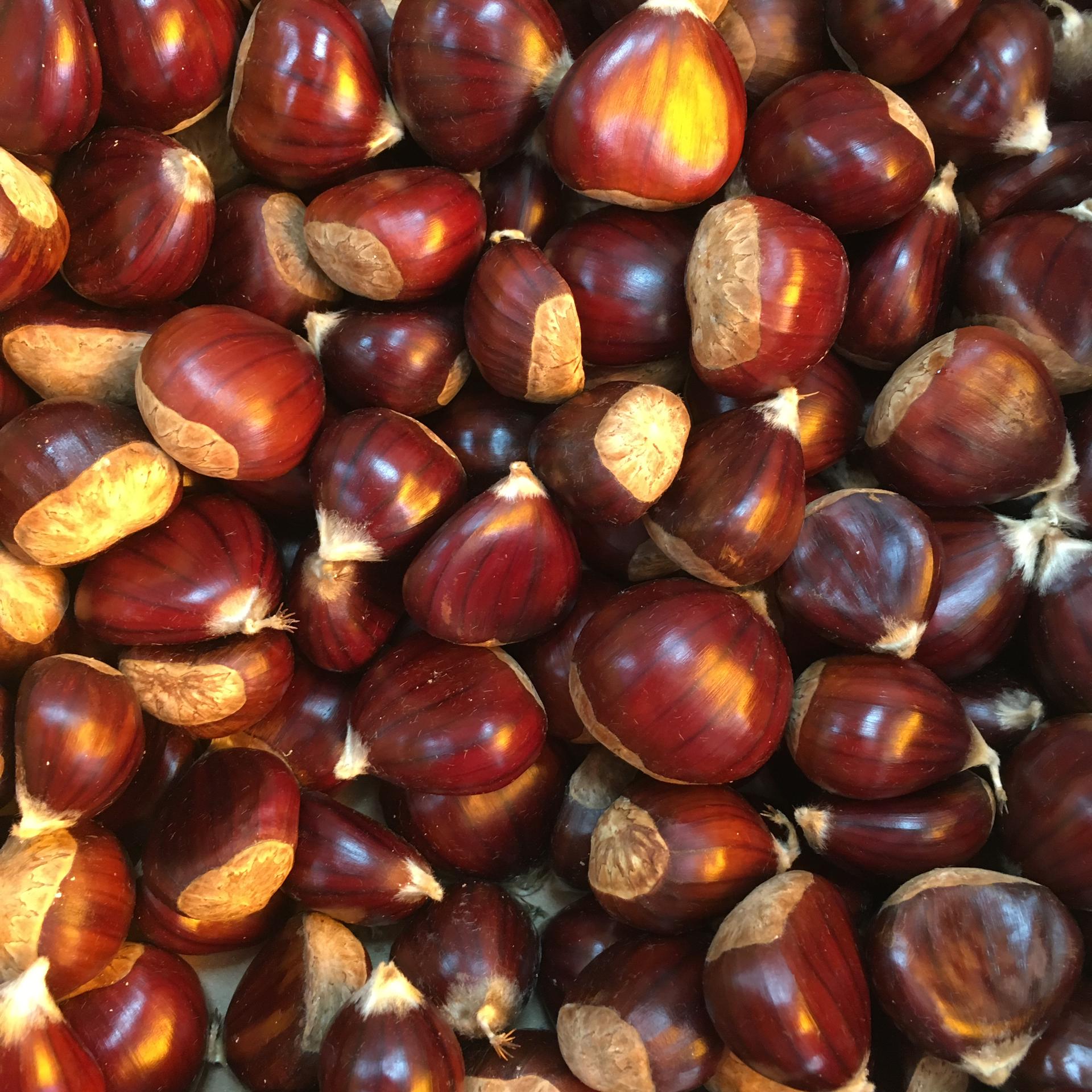 Frutos Secos