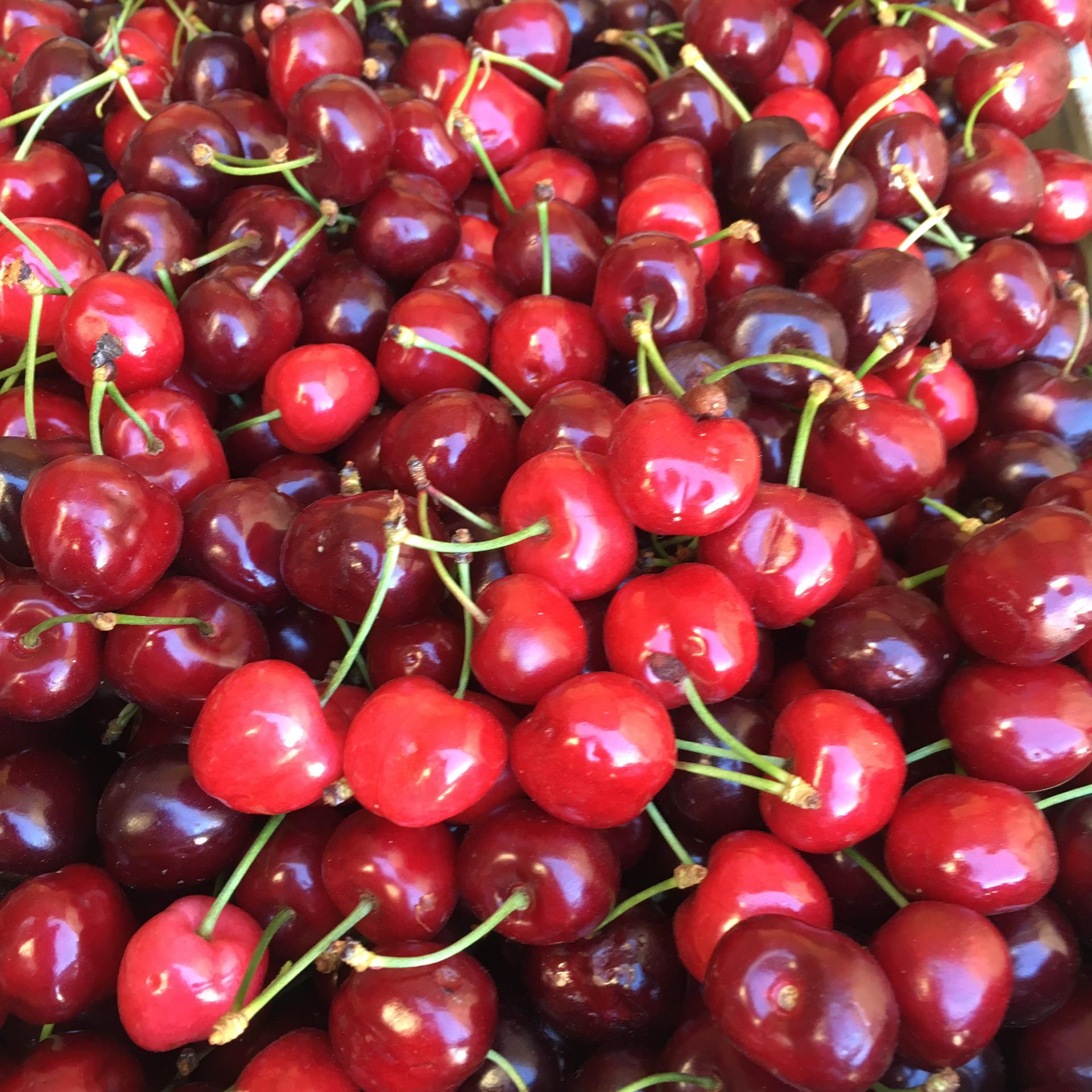 Cerejas