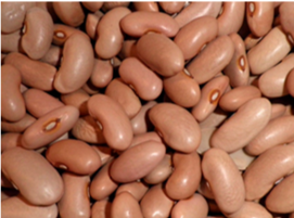 Legumes Secos