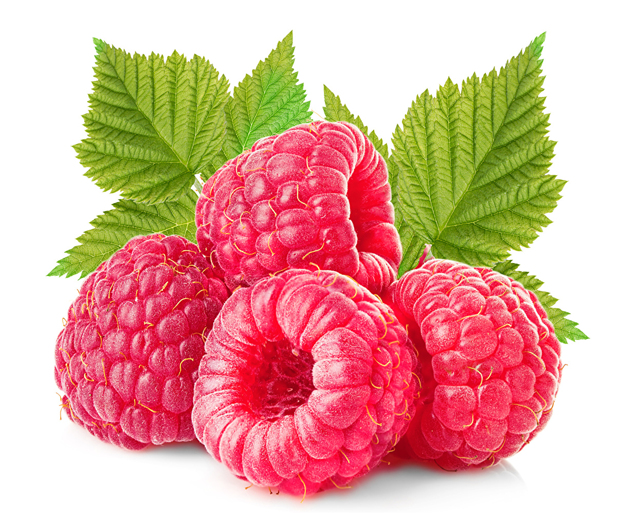 Frutos Vermelhos
