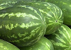 Melancias 